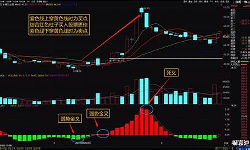 劳尔副图指标源码是多少_劳尔出状态图